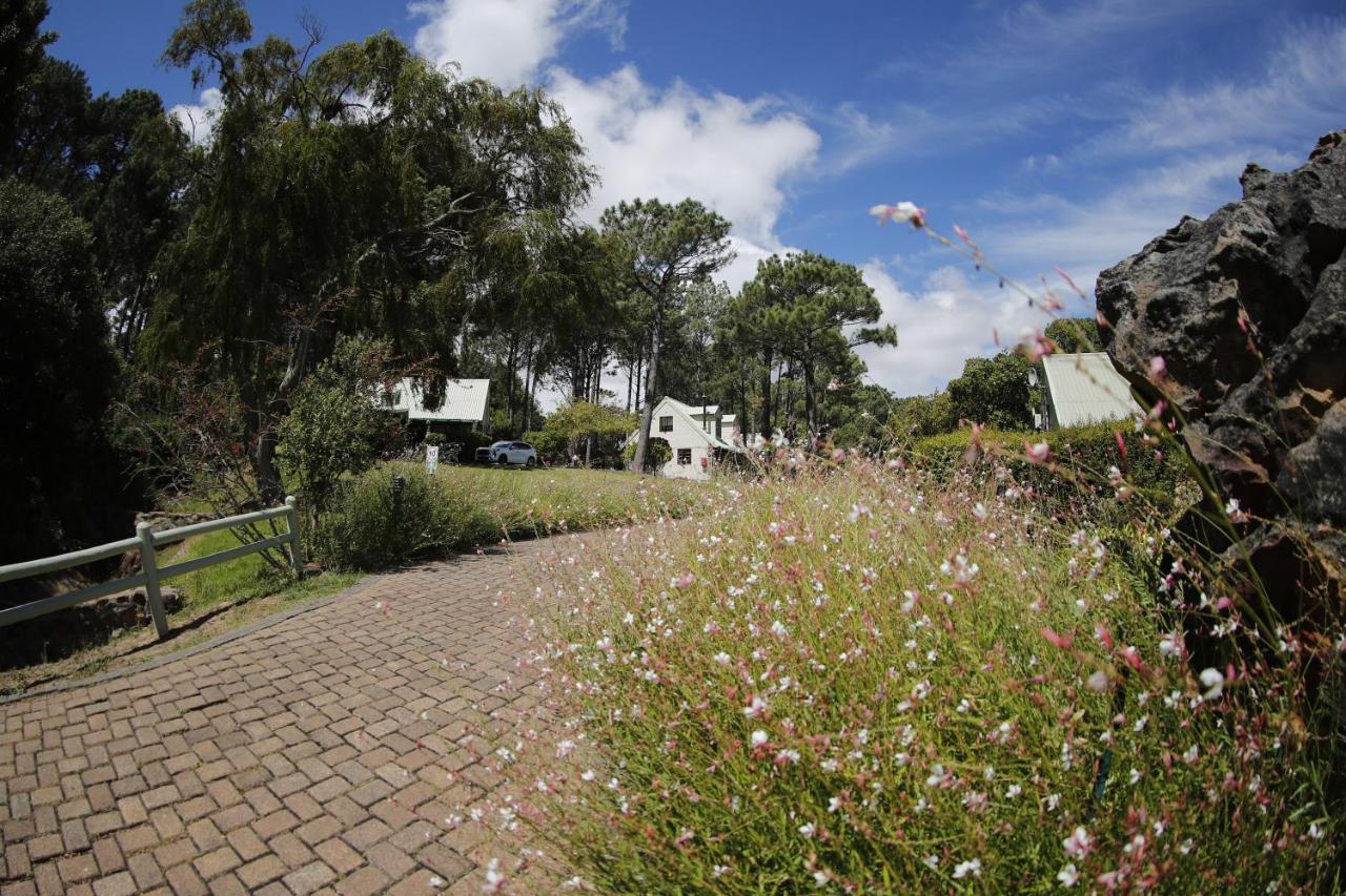 Strelitzia Cottage Kaapstad Buitenkant foto